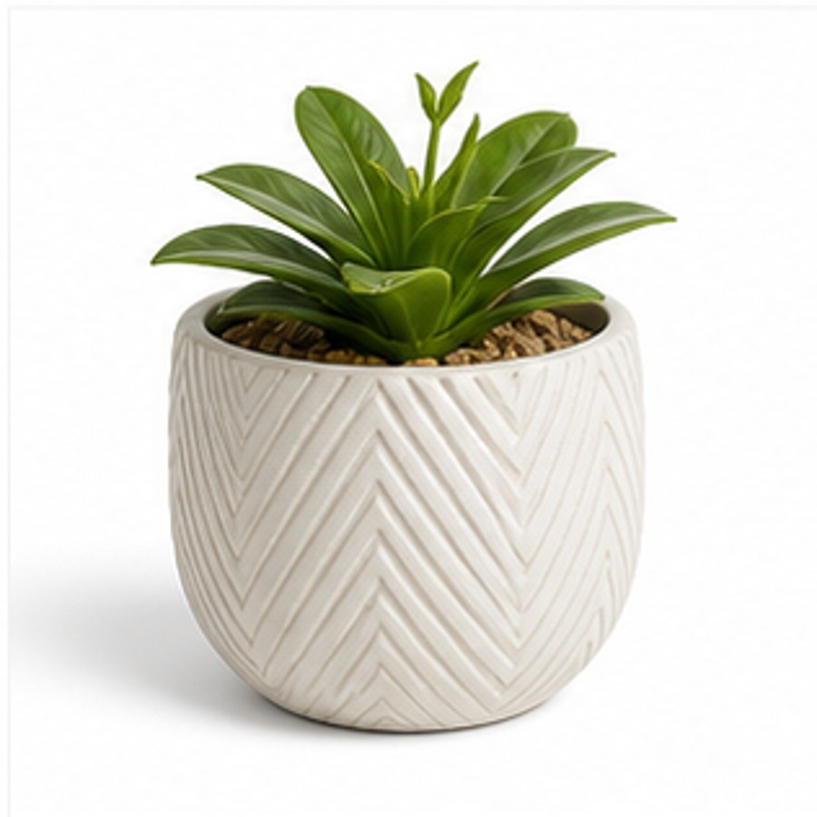 Ceramic Desk Planter